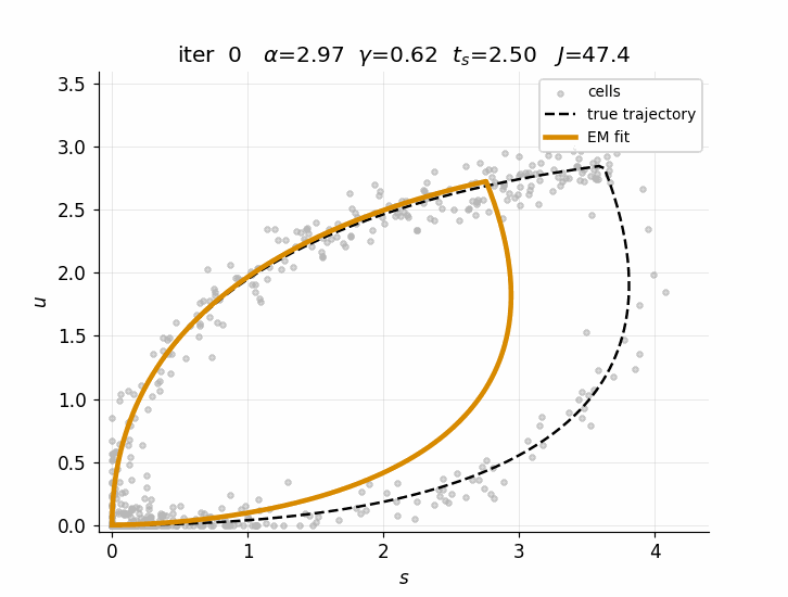 Animation of an induction and repression trajectory being fitted to noisy cells over EM iterations.