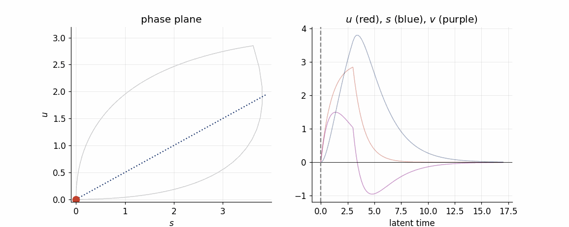 Animation of a gene moving through induction and repression in the phase plane, synchronized with its RNA time courses.
