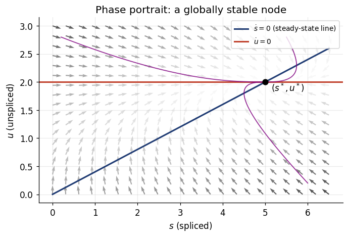 Phase portrait showing the vector field, two nullclines, sample trajectories, and the stable equilibrium.