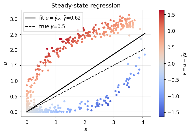 Synthetic phase portrait comparing a biased steady-state regression line with the true kinetic slope.